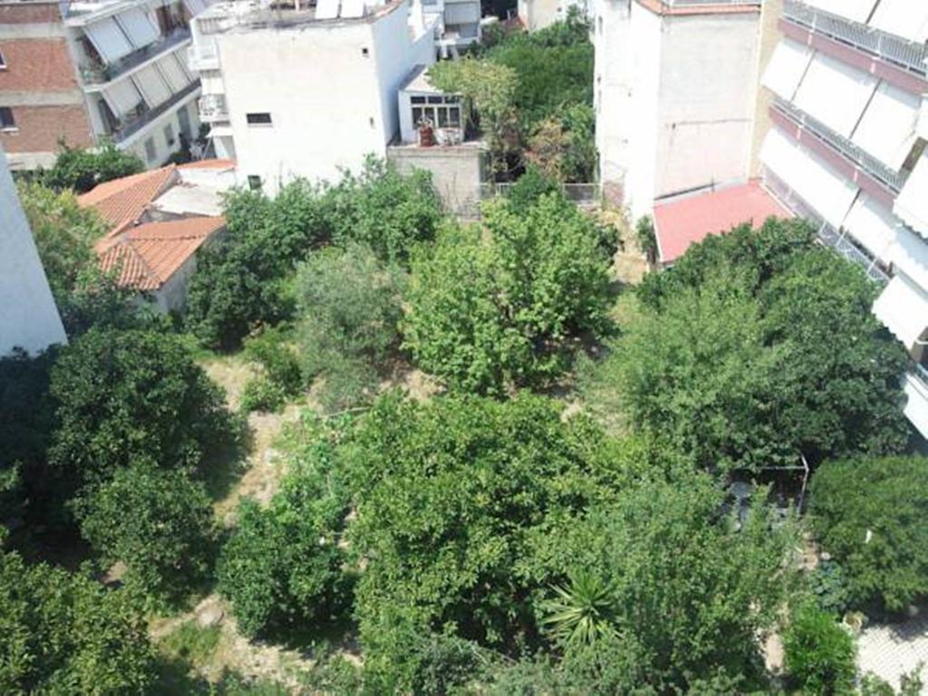 Foivos Hotel Лутра Едипсу Стая снимка
